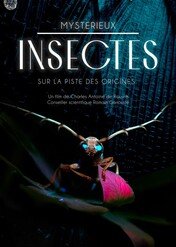 Owady. Tajemnice ewolucji / Mystérieux insectes, sur la piste des origines