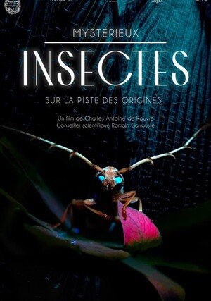 Owady. Tajemnice ewolucji / Mystérieux insectes, sur la piste des origines