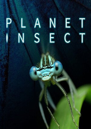 Planet Insect / 