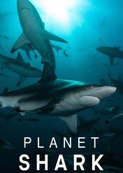 Planeta rekinów / Planet Shark