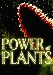 Power of Plants / Power Of Plants