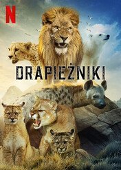 Drapieżniki / Predators
