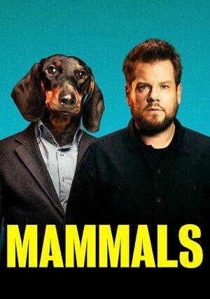 Ssaki / Mammals