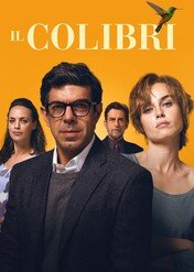 Koliber / The Hummingbird