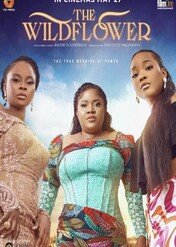 The Wildflower / The Wildflower