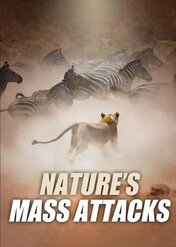 W stadzie łatwiej / Nature's Mass Attacks