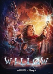 Willow / Willow