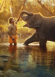 Zaklinacze słoni / The Elephant Whisperers