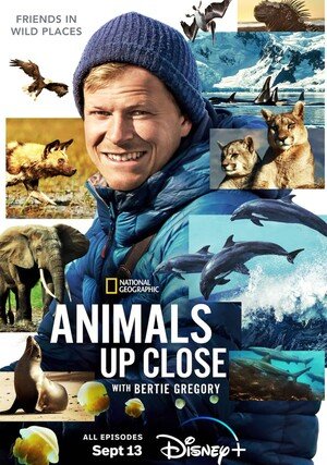 Bertie Gregory: Dzika przyroda z bliska / Animals Up Close with Bertie Gregory