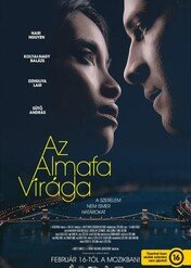 Kwiat jabłoni / Az almafa virága