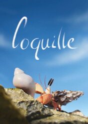 Coquille / Coquille
