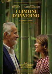 Cytrynowiec / Winter Lemons