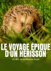 Mały jeż w wielkim mieście / Le voyage épique d'un hérisson