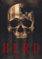 Herd / Herd