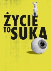Życie to suka / Life's a Bitch