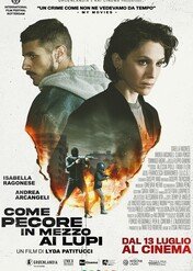 Jak owce między wilki / Like Sheep Among Wolves