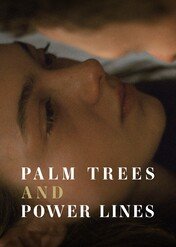 Palmy i słupy / Palm Trees and Power Lines
