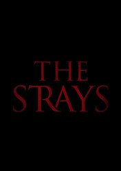 Przybłędy / The Strays