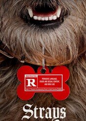 Spuszczone ze smyczy / Strays