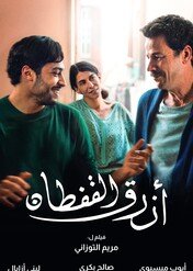 Turkusowa suknia / The Blue Caftan