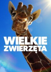 Wielkie zwierzęta / Big Beasts