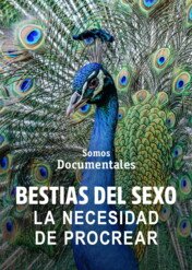 Zwierzęcy seksapil / Sexy Beasts: The Need to Breed