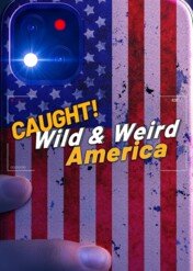 Amerykańscy ryzykanci / Caught! Wild & Weird America