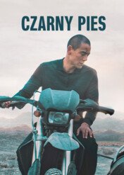 Czarny pies / Black Dog