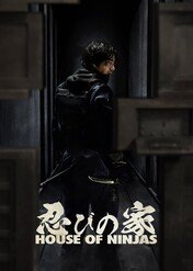 Dom ninja / House of Ninjas