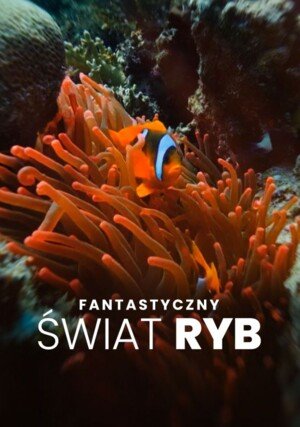 PL - Fantastyczny świat ryb  (2024)