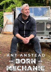 Od samochodu do domu / Ant Anstead: Born Mechanic