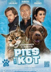 Pies i kot / Chien et chat