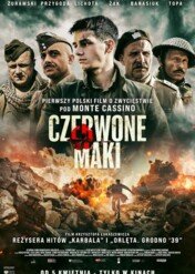 Czerwone maki / Czerwone maki