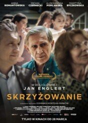 Skrzyżowanie / Skrzyżowanie