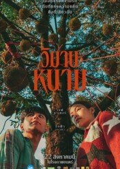 The Paradise of Thorns / The Paradise of Thorns