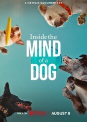 W głowie psa / Inside the Mind of a Dog