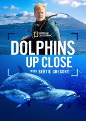 Bertie Gregory: Bliskie spotkanie z delfinami / Dolphins Up Close with Bertie Gregory