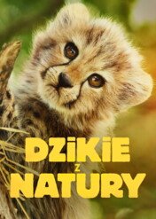Dzikie z natury / Born to Be Wild