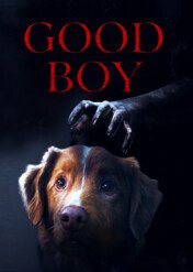 Good Boy / Good Boy