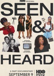 Widziani i słyszani: Historia czarnej telewizji / Seen & Heard: The History of Black Television