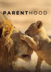 Świat zwierząt - rodzicielstwo / Parenthood