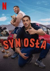 Syn osła / Son of a Donkey