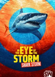 W oku cyklonu: inwazja rekinów / In the Eye of the Storm: Shark Storm