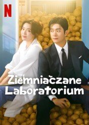 Ziemniaczane laboratorium / The Potato Lab