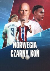 Norwegia: Czarny koń / Norway: The Dark Horse