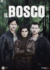 Mroczny las / O Bosque Escuro