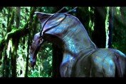 Avatar Featurette: DireHorse