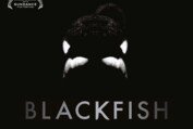 Blackfish - Official Trailer