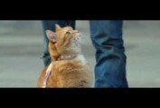 A Street Cat Named Bob - Getting the Punters In Clip - At Cinemas Now