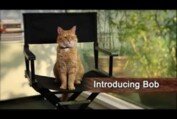 A Street Cat Named Bob - Introducing Bob - At Cinemas November 4